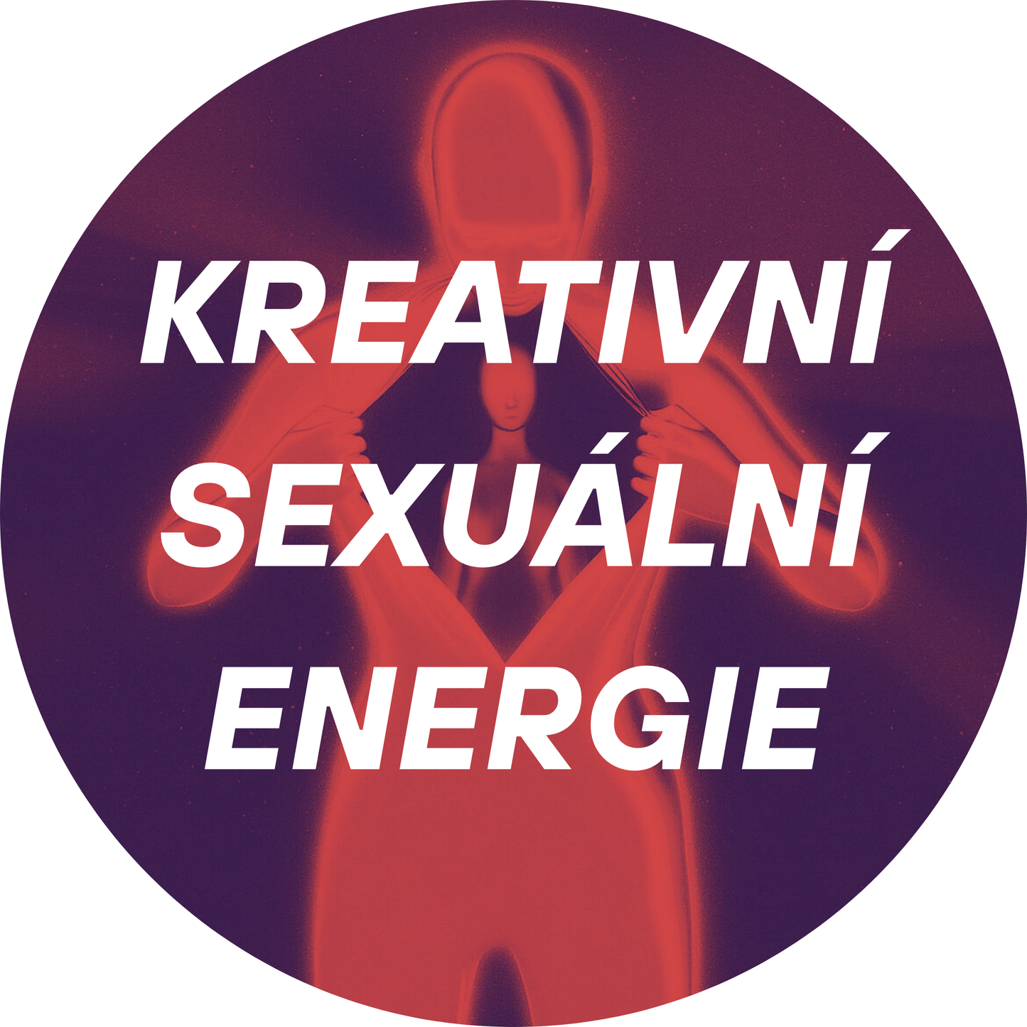 Kreativní Sexuální Energie KONZULTACE