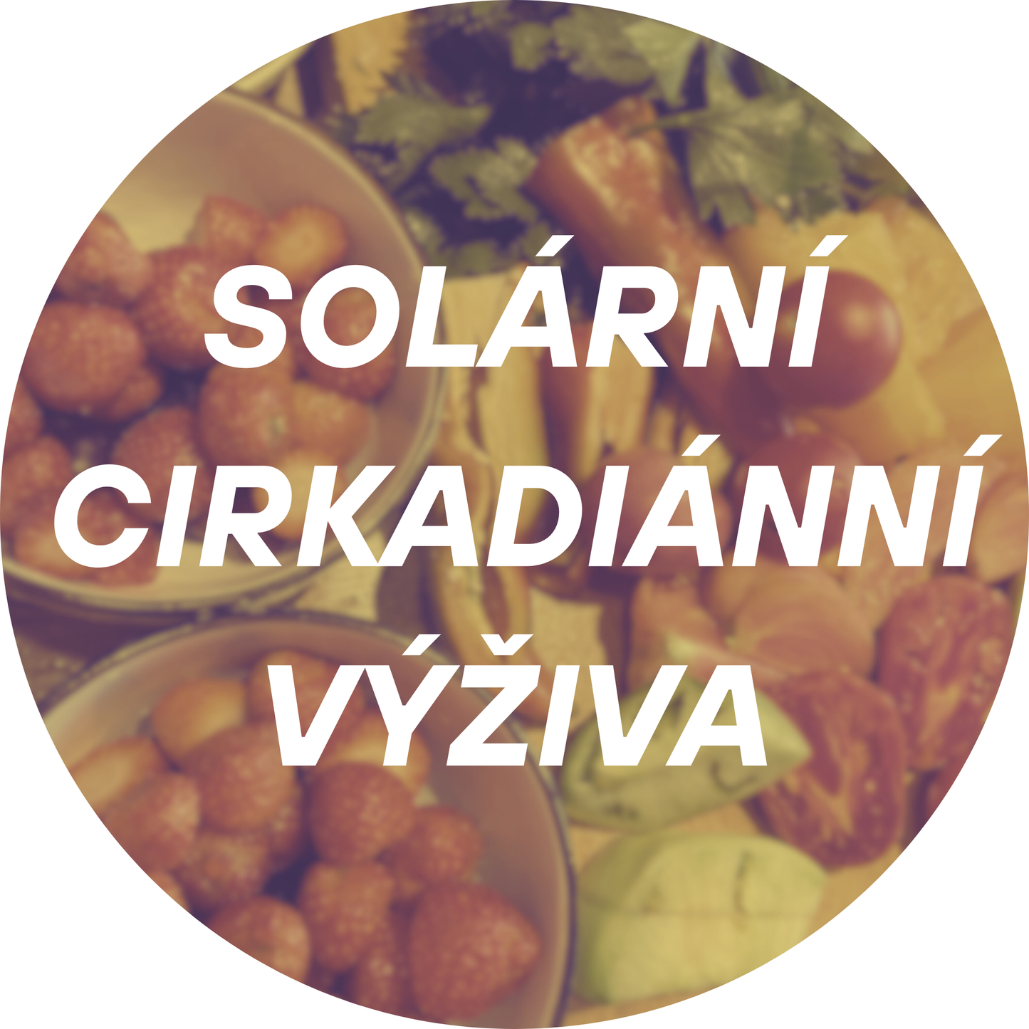 Solární cirkadiánní výživa KONZULTACE